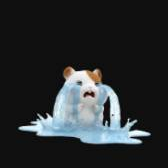 YouTubeギフト Crying hamster